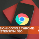 estensione seo google chrome